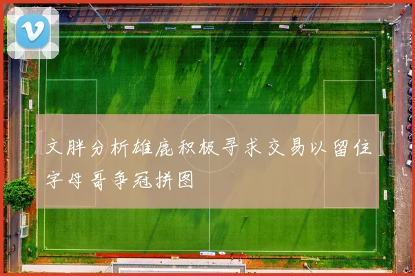 文胖分析雄鹿积极寻求交易以留住字母哥争冠拼图