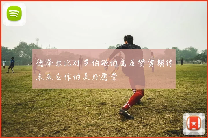 德泽尔比对罗伯逊的高度赞赏期待未来合作的美好愿景